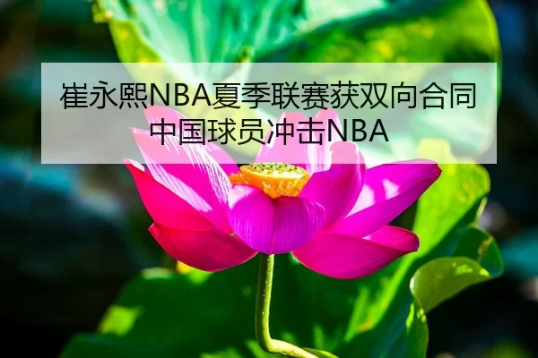 崔永熙NBA夏季联赛获双向合同中国球员冲击NBA
